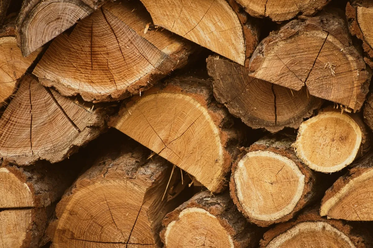 Pile de bûches avec cernes visibles