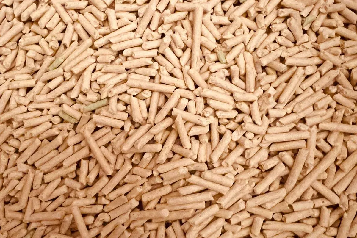 Tas de granulés de bois vu de dessus